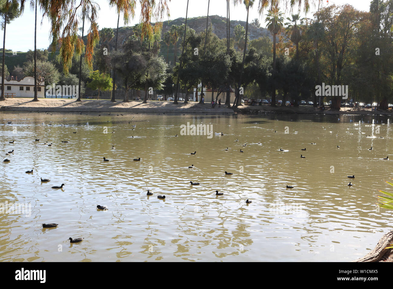 Riverside See Stockfoto