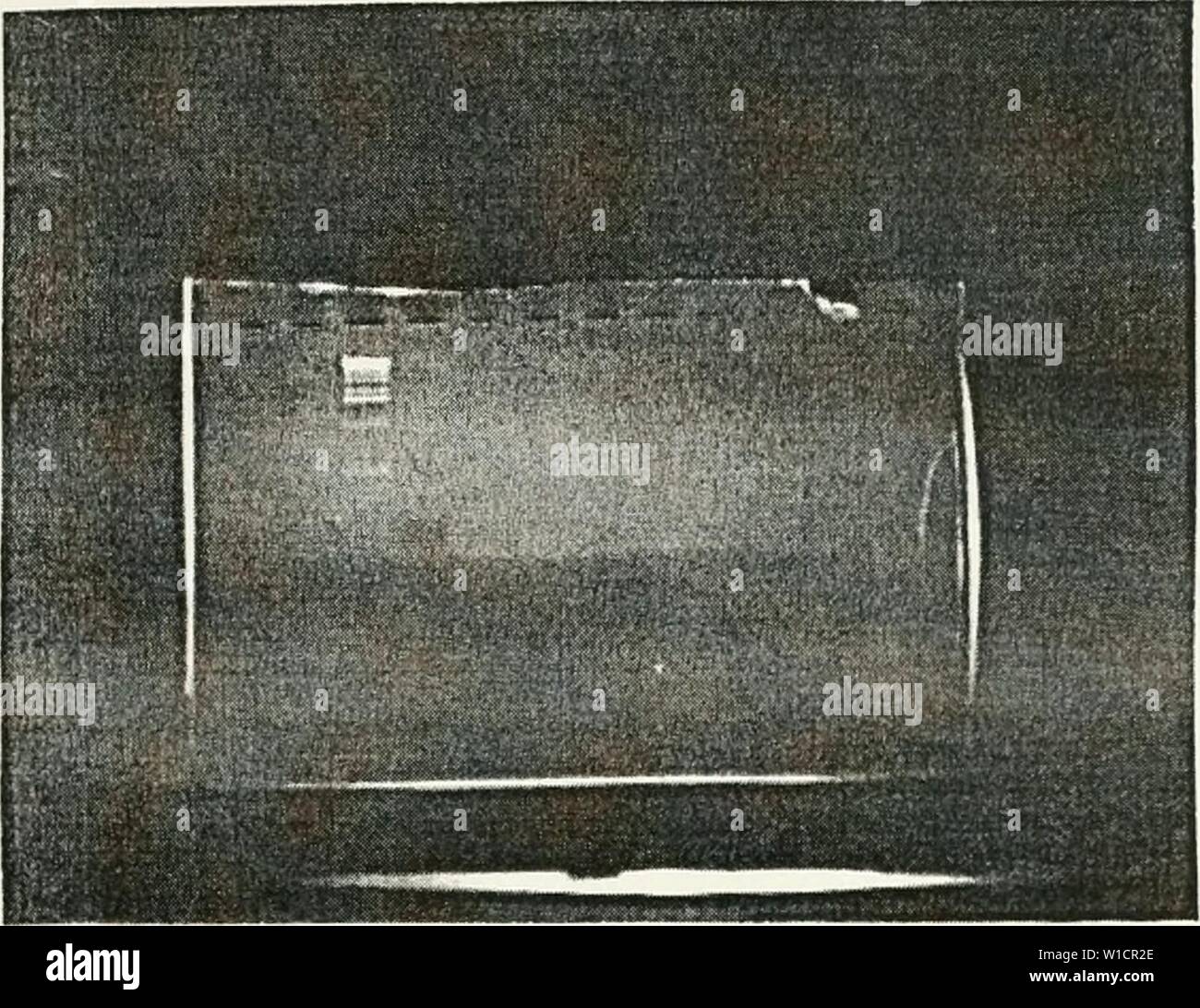 Archiv Bild von Seite 72 der Entwicklung einer cosmid. Die Entwicklung einer cosmid Karte von Chromosom 12 p 13. developmentofcos 00 belk Jahr: 1998 Abbildung 18. 1.5 Agarose-Gel-Elektrophorese einer digoxigenin Kennzeichnung PCR-Verfahren mit Vorwärts- und Rückwärtsgang Grundierungen für STS-D12 S950. Spur 3 enthält 0,5 | ag 1 KB Leiter und Spur 4 enthält K562 Bezeichnung DNA. Ein schwaches Band sichtbar ist in der Spur 4 bei ca. 396 oder 344 Basen entsprechend der Bezeichnung STS-Marker. Stockfoto