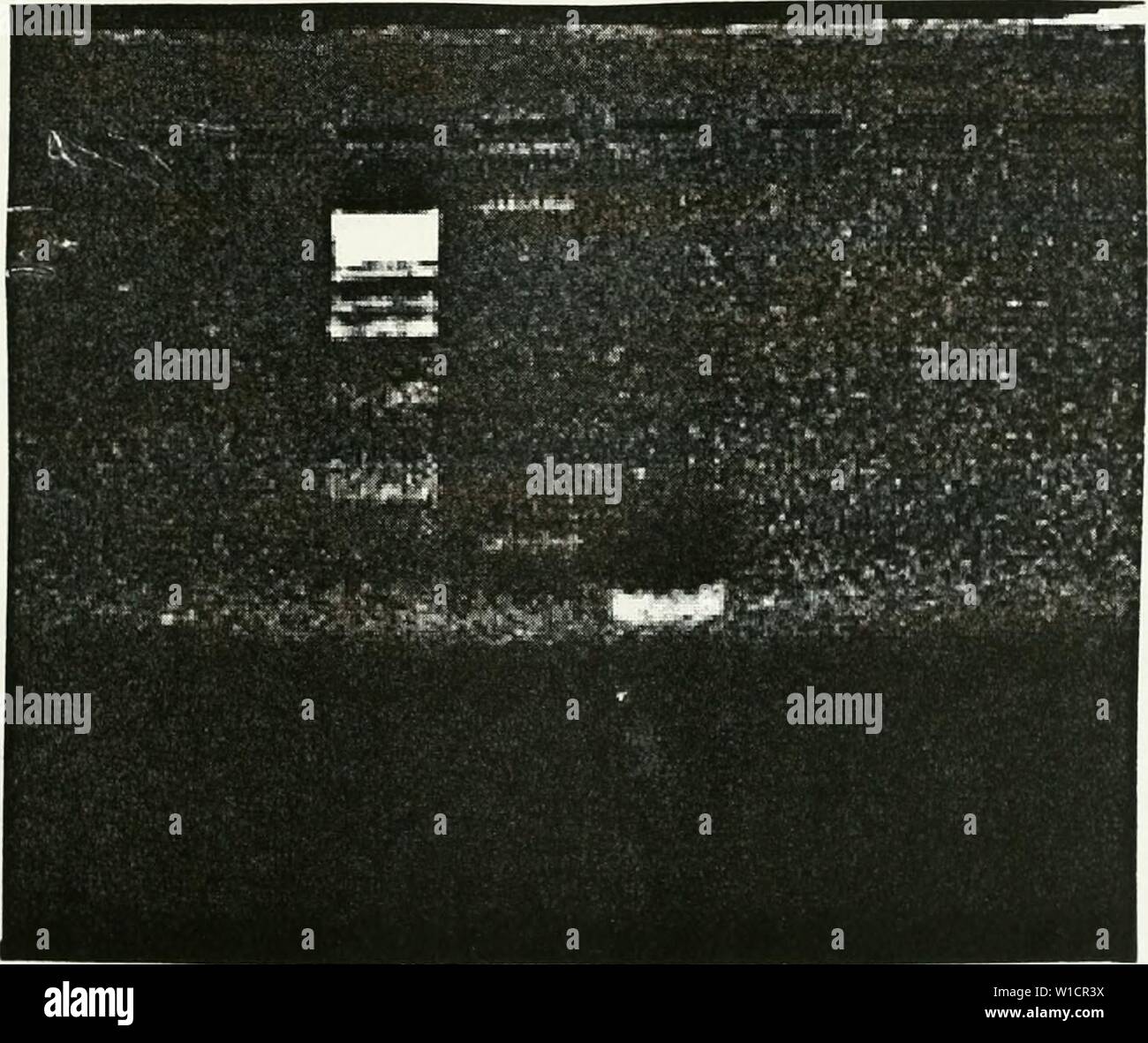 Archiv Bild von Seite 72 der Entwicklung einer cosmid. Die Entwicklung einer cosmid Karte von Chromosom 12 p 13. developmentofcos 00 belk Jahr: 1998 Abbildung 18. 1.5 Agarose-Gel-Elektrophorese einer digoxigenin Kennzeichnung PCR-Verfahren mit Vorwärts- und Rückwärtsgang Grundierungen für STS-D12 S950. Spur 3 enthält 0,5 | ag 1 KB Leiter und Spur 4 enthält K562 Bezeichnung DNA. Ein schwaches Band sichtbar ist in der Spur 4 bei ca. 396 oder 344 Basen entsprechend der Bezeichnung STS-Marker. FiGURn 19. 1.5 Agarose-Gel-Elektrophorese von Digoxigenin markierten K562 DNA mit Vorwärts- und Rückwärtsgang Primer für D12S 1987 und D12S191 Stockfoto
