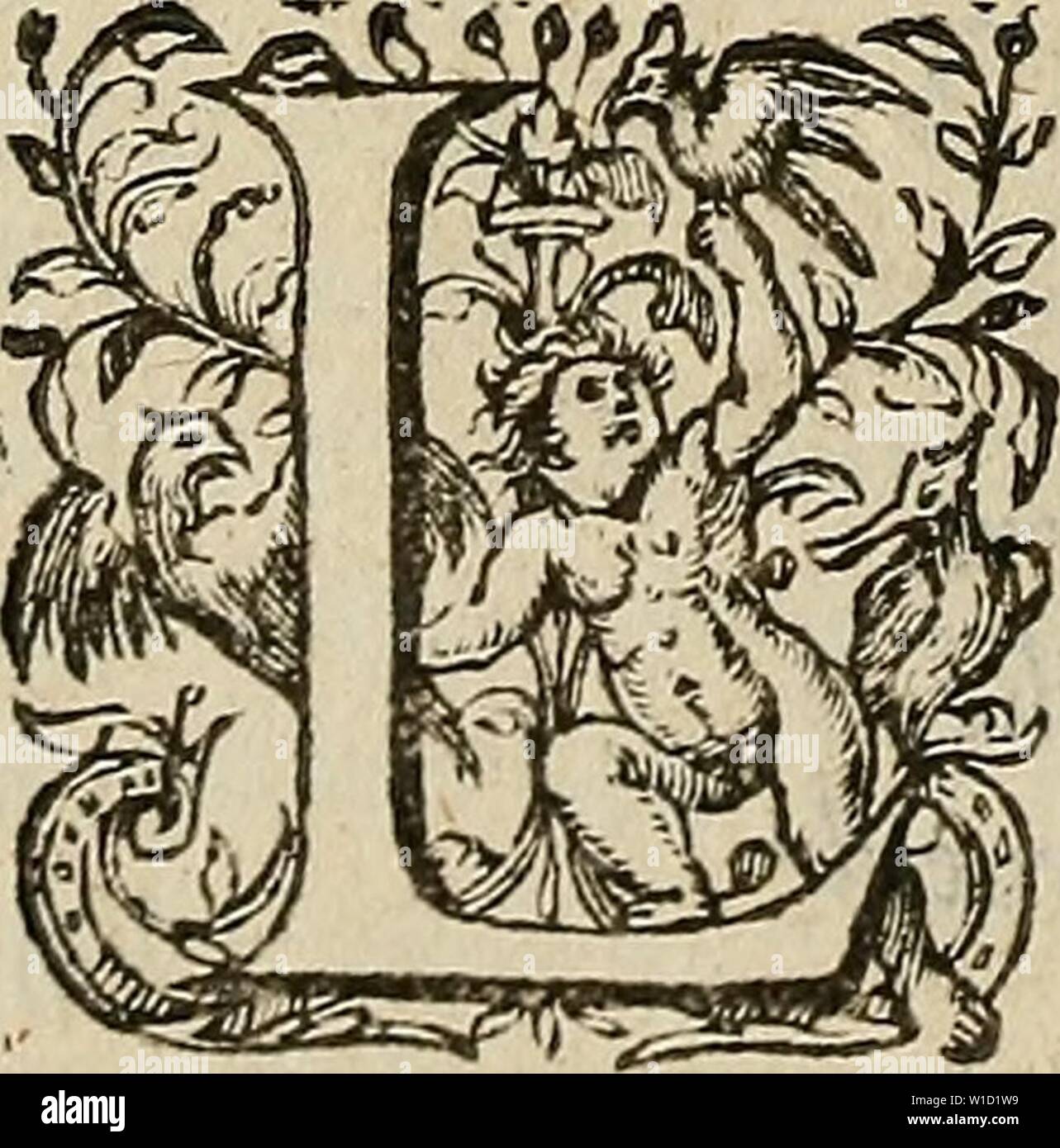 Archiv Bild von Seite 85 der Devx livres Les venins, ausquels. Devx livres des ausquels venins, Il est amplement discouru des bestes venimeuses, theriaques, Gifte. devxlivresdesven 00 gr Jahr: 1568 ein Vipère eft Vne efpecc de {èrpét, mafle guee diftîn-en Scen femellejcncorc q gießen Sgnifier rvn&l'autre nous n'ayons Rete-nu que ce mot enfuyuant Vipère, les La-Dosen: comme nous auos auflî plufîeurs au-tres mots, Iefquels comprennent & le ma-fle & La femelle, comme le Pigeon, le, La moyneau blette Ôc autres femblablcs. Ce que les toutefois Stockfoto