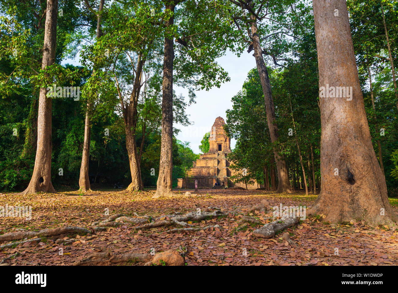 Kleine Tempel im Dschungel mit morgen Licht innerhalb des Angkor Thom archäologische Komplex ruinieren, Reiseziel Kambodscha. Stockfoto