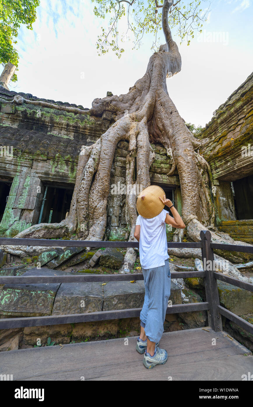 Touristen auf der Suche nach Ta Prohm berühmte Dschungel Baumwurzeln, die Angkor Tempel, Rache der Natur gegen menschliche Gebäude, Reiseziel Kambodscha. Stockfoto