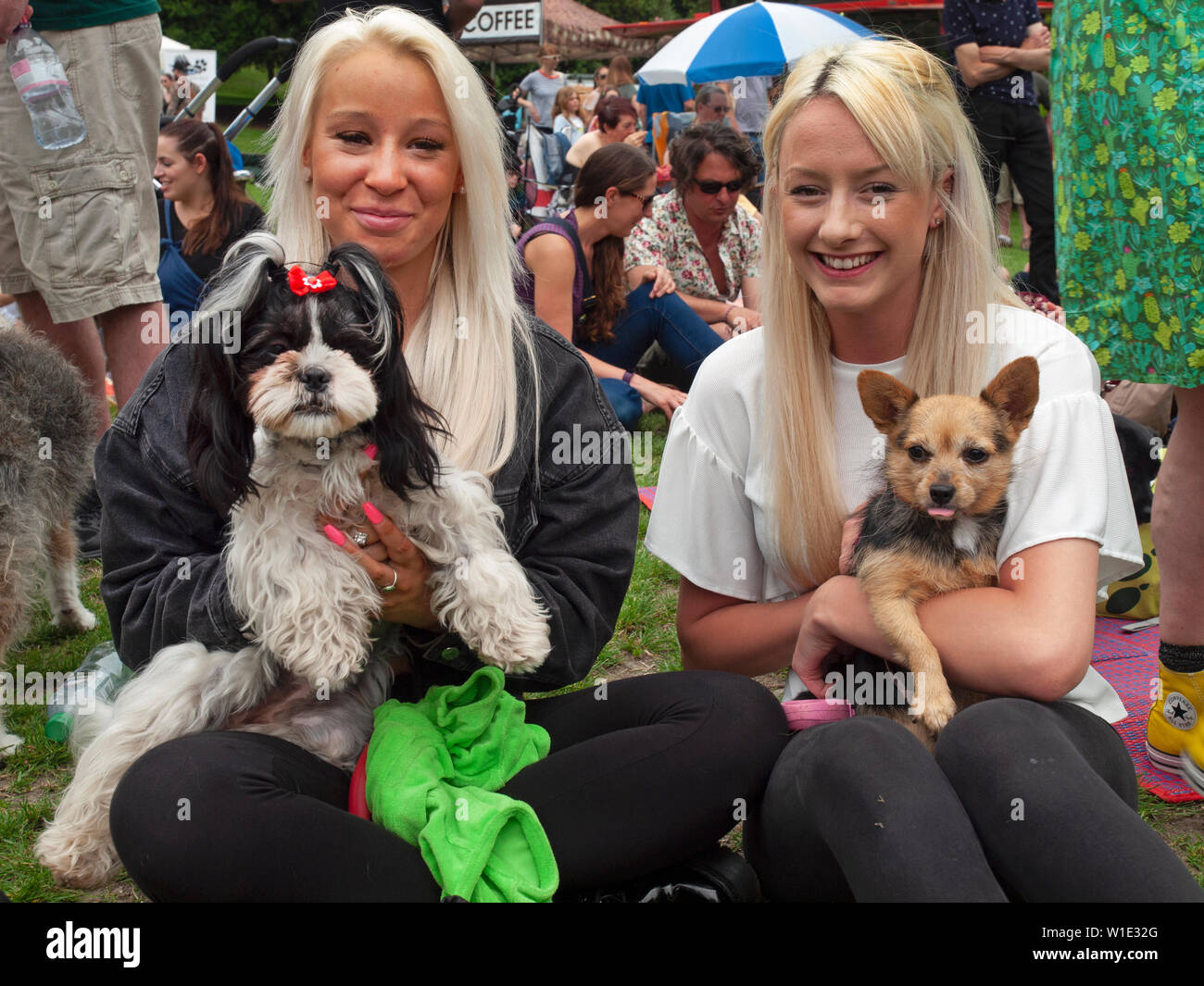 Einer Hundeausstellung in Queen's Park, Brighton Stockfoto