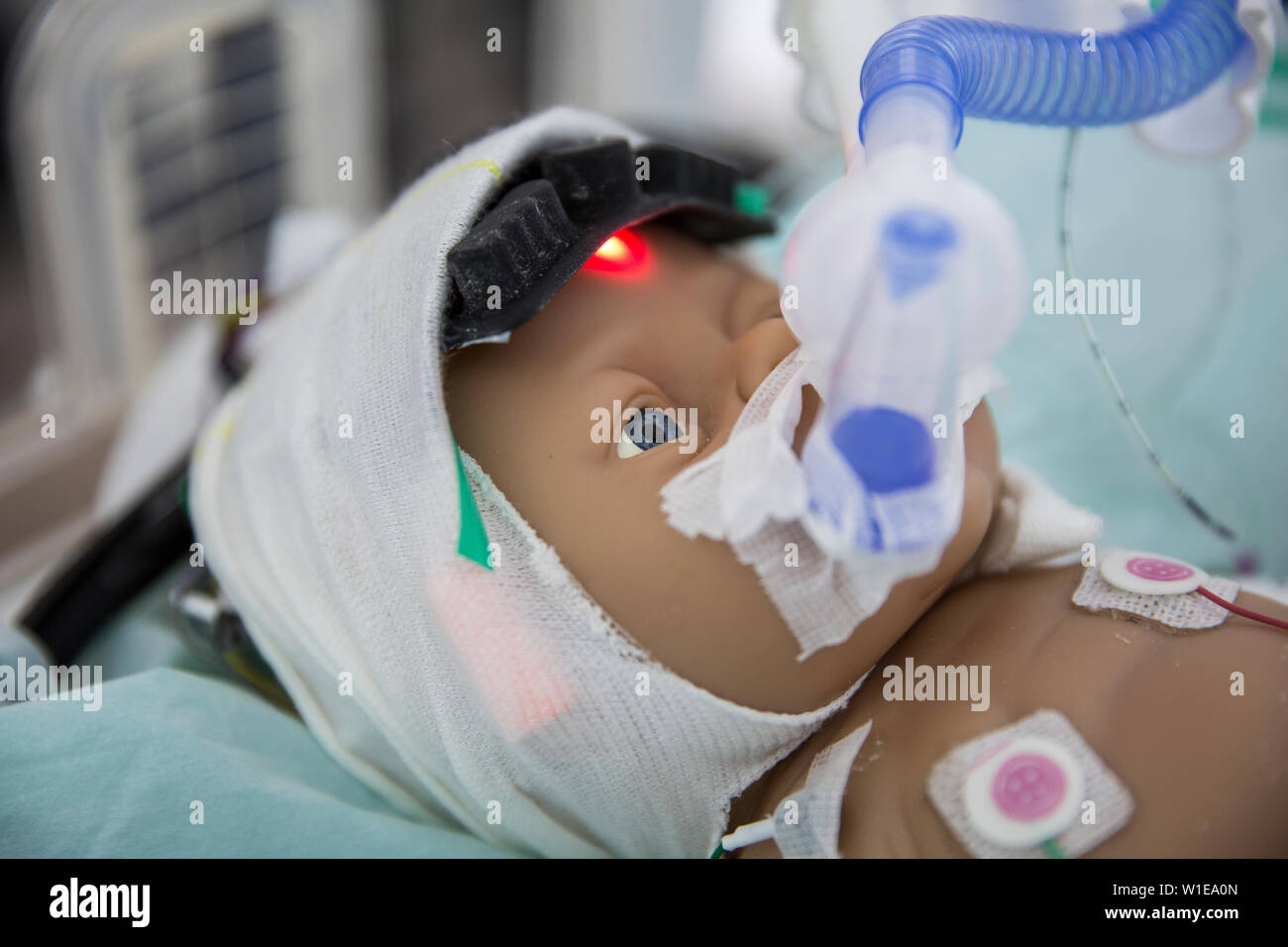 Royal Society Summer Science Ausstellung, Beleuchtung des Gehirns nach der Geburt" Aktivität im Gehirn des Babys zu überwachen und das Leben des Neugeborenen speichern Stockfoto