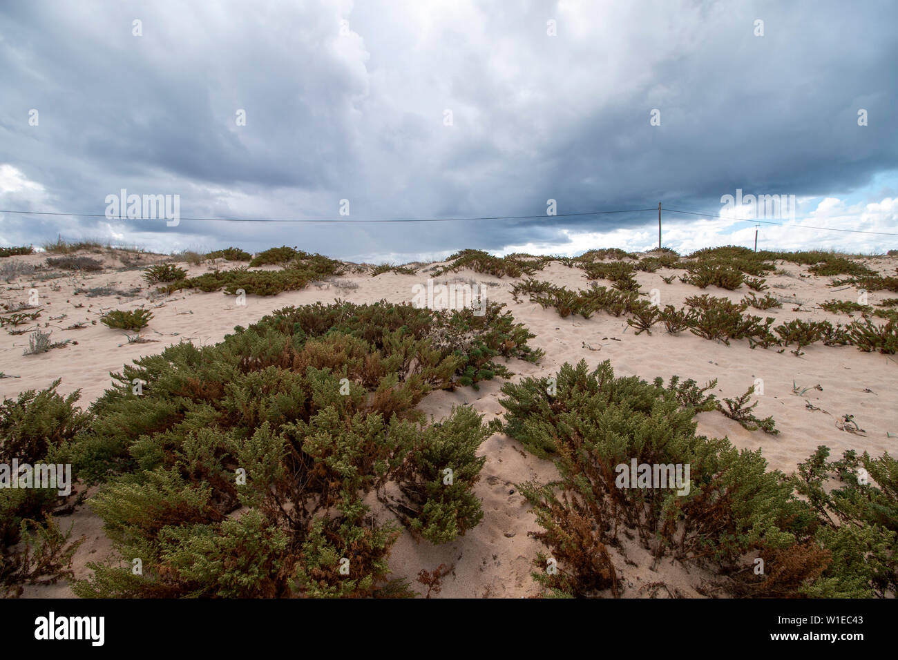 Dünen an den Strand von Faro, Portugal. Stockfoto