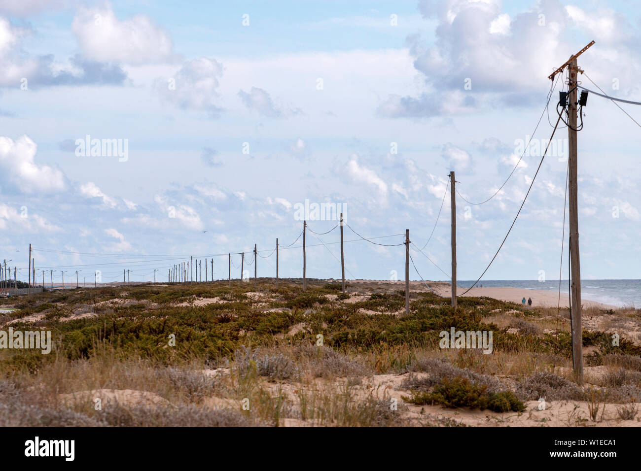 Dünen an den Strand von Faro, Portugal. Stockfoto