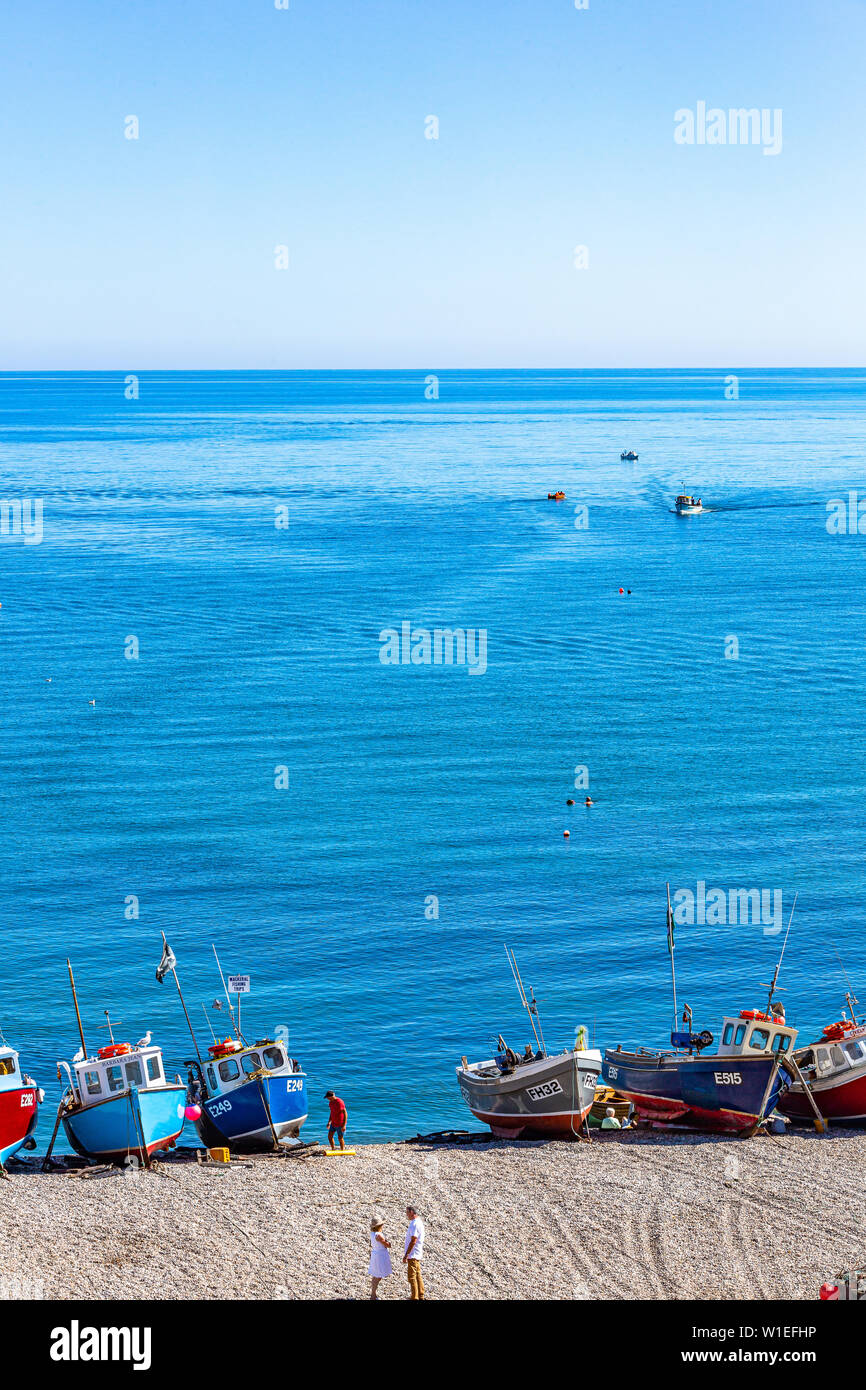 Fischerboote am Strand von Bier in South Devon. Stockfoto