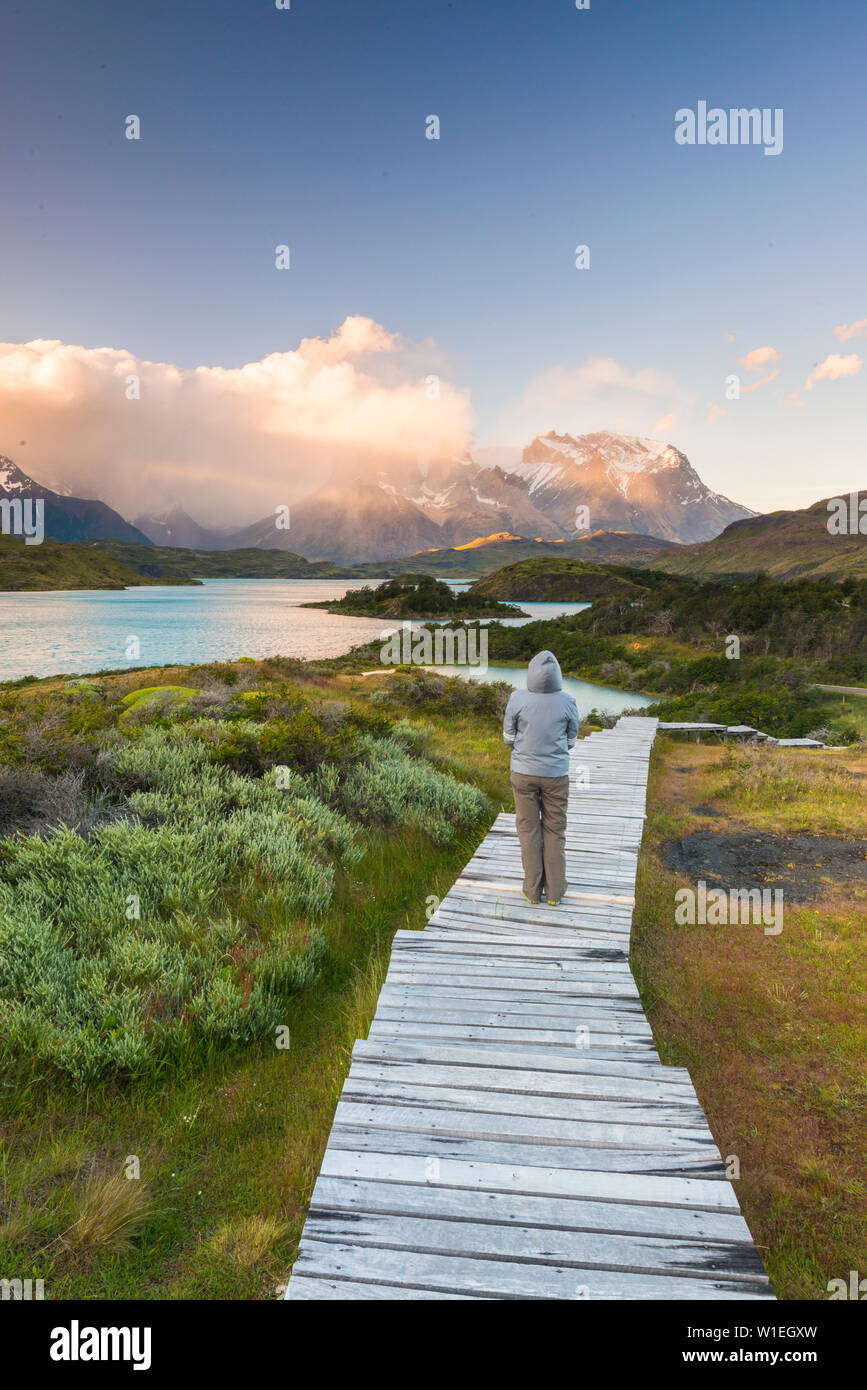 Promenaden am Lago Pehoe, Torres del Paine Nationalpark, Patagonien, Chile, Südamerika Stockfoto