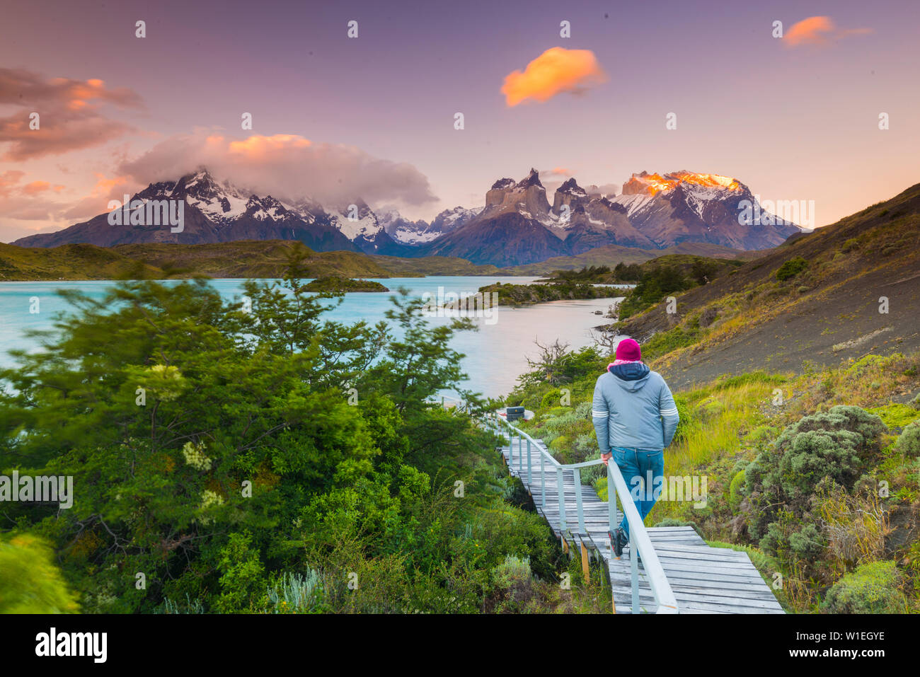 Promenaden am Lago Pehoe, Torres del Paine Nationalpark, Patagonien, Chile, Südamerika Stockfoto