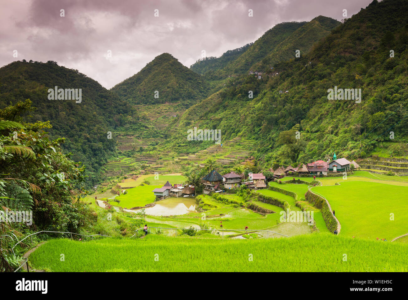 Reisterrassen, Bangaan, Weltkulturerbe der UNESCO, Luzon, Philippinen, Südostasien, Asien Stockfoto