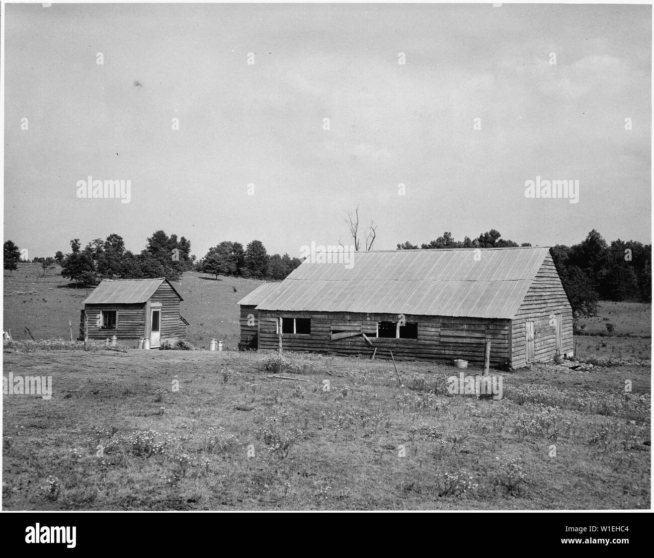 Harmonie der Gemeinschaft, Putnam County, Georgia... Milchviehhaltung ist die letzte Hoffnung des Putnam County Eigentümer - die Oper. . .; Umfang und Inhalt: Die Bildunterschrift lautet wie folgt: Harmonie der Gemeinschaft, Putnam County, Georgia... Milchviehhaltung ist die letzte Hoffnung des Putnam County Eigentümer - Betreiber, jetzt, dass Baumwolle ist nicht Wert anheben. Aber die Mieter nicht in Dairying, weil Sie nicht das notwendige Kapital. Sie müssen mit Wattestäbchen. [...] Dies ist eine der ältesten Dairy barns in der Gemeinschaft.... Wie andere Service Gebäude, Sie sind wahrscheinlich nicht sehr kräftig gebaut, aber fast alle von ihnen haben zementestriche und adequa Stockfoto