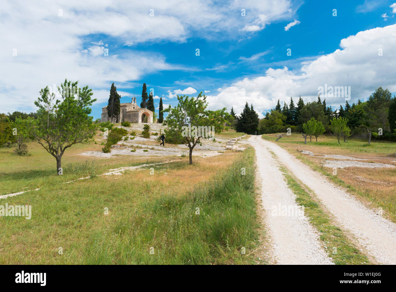 Aix-en-Provence, Bouches du Rhône, Provence, Provence-Alpes-Cote d'Azur, Frankreich, Europa Stockfoto