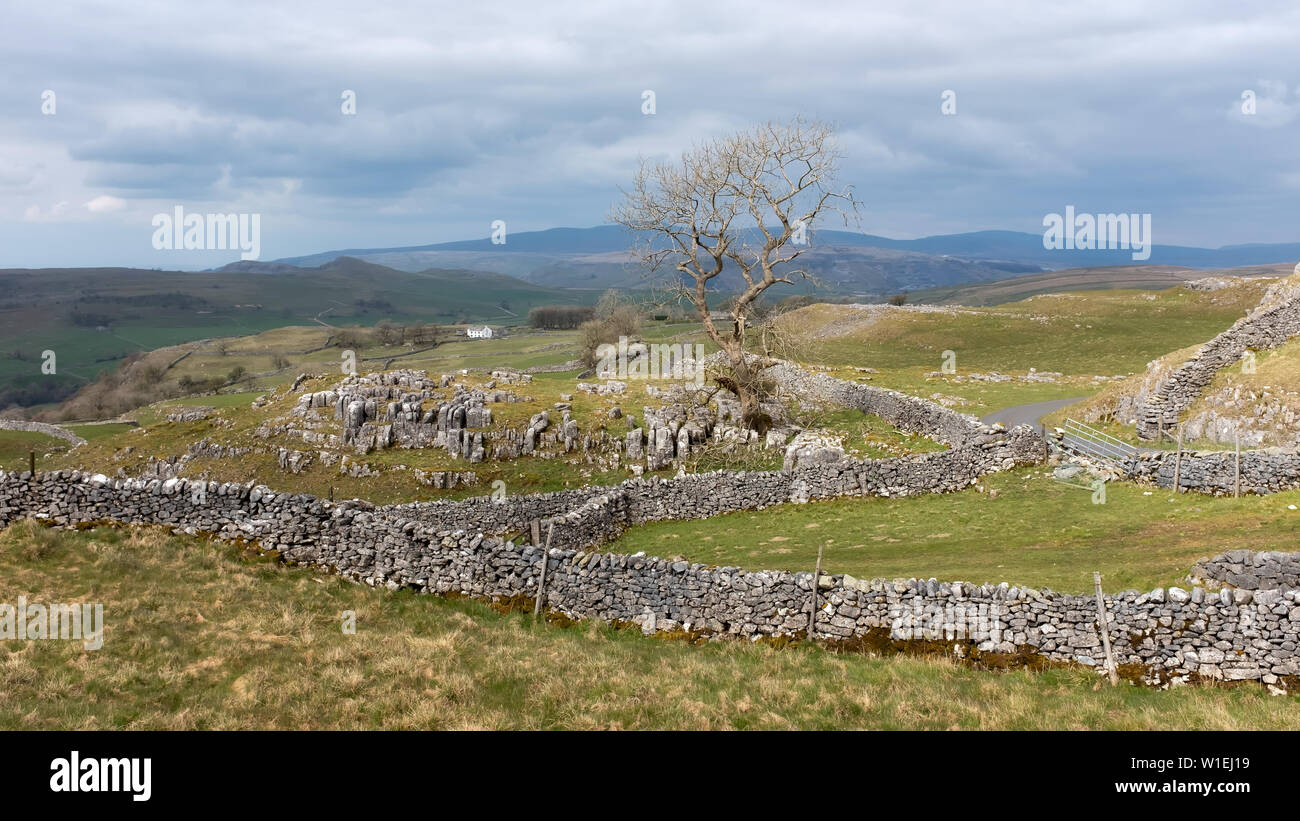 Landschaft mit Trockenmauern, Yorkshire, England, Vereinigtes Königreich, Europa Stockfoto