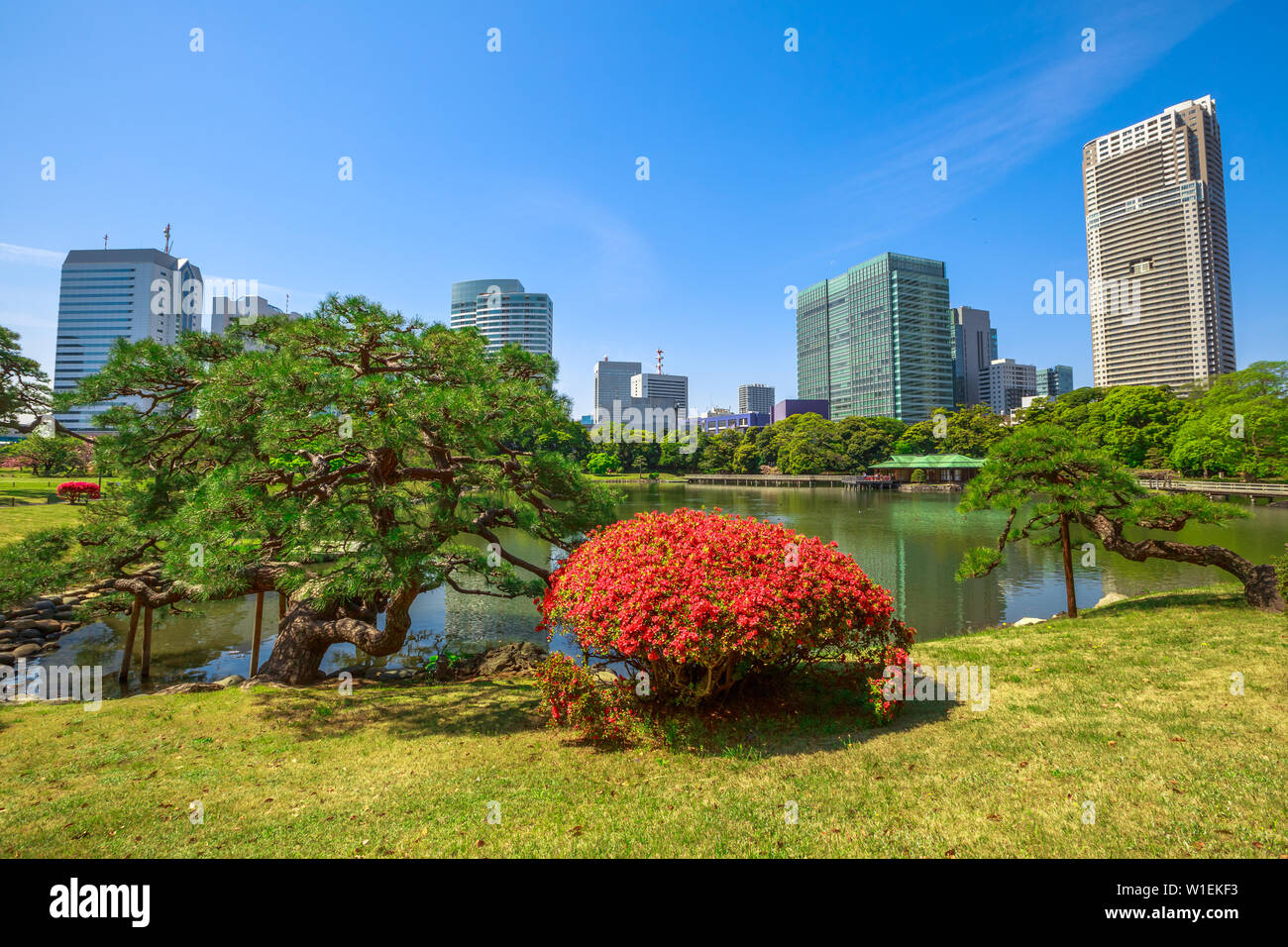 (Hama Rikyu) Hamarikyu Gärten, Chuo Bezirk, Tokio, Japan, Asien Stockfoto