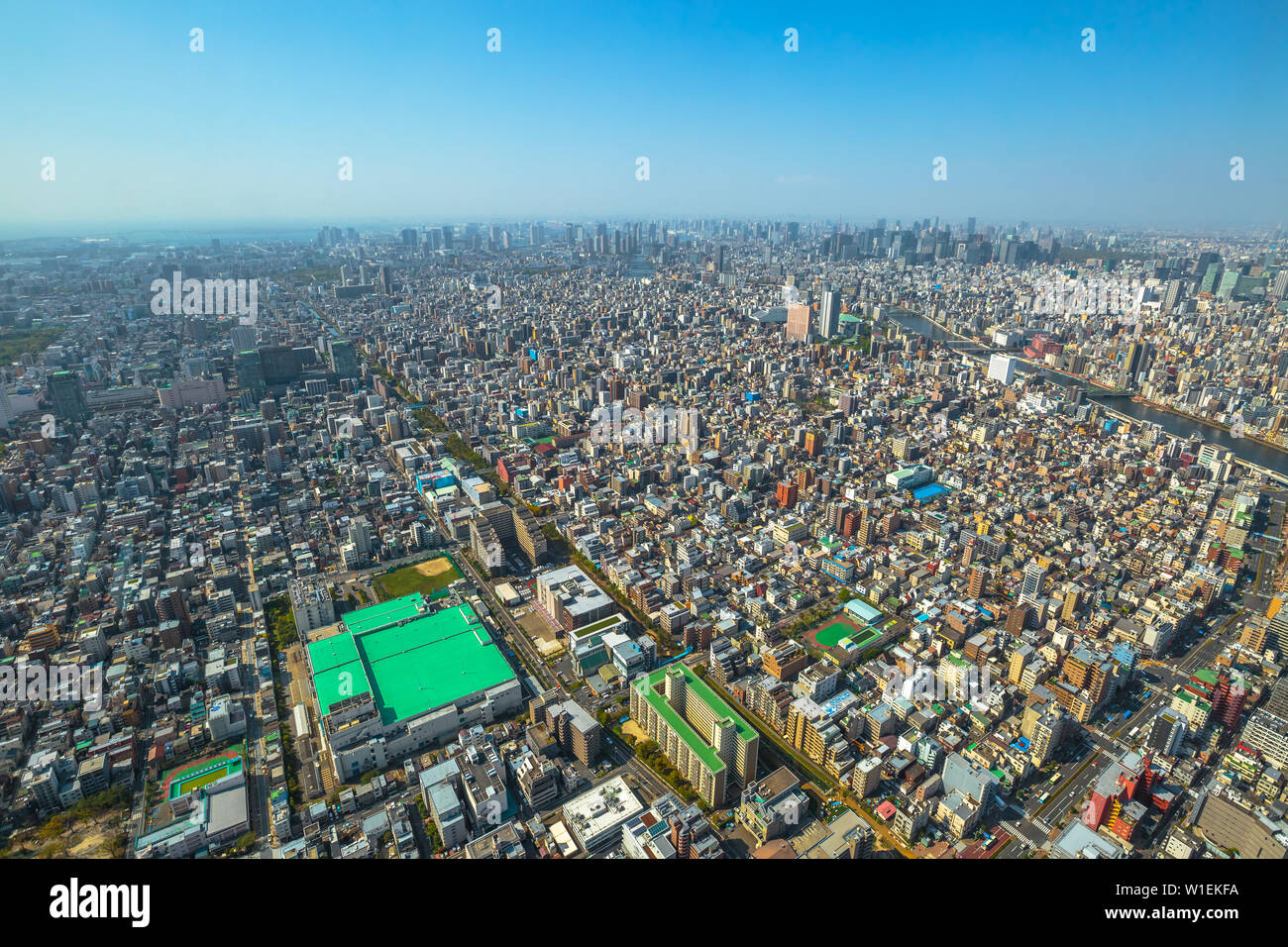Blick auf die Skyline der Stadt und die Rainbow Bridge mit Odaiba Insel im Hintergrund, von Tokio Skytree Sternwarte, Sumida Bezirk, Tokio, Japan Stockfoto