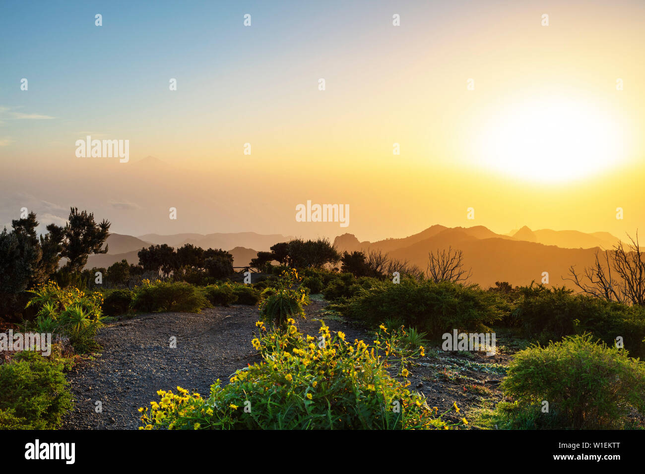 Nationalpark Garajonay und Teneriffa in der Ferne, der Nationalpark Garajonay, Weltkulturerbe der UNESCO, La Gomera, Kanarische Inseln, Spanien, Atlantik Stockfoto