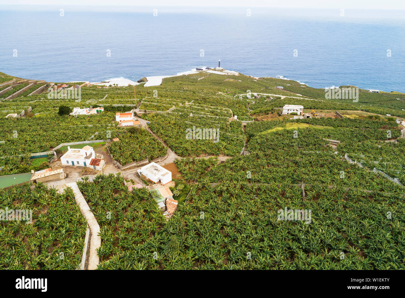 Luftaufnahme von Bananenplantagen. UNESCO Biosphäre Website, La Palma, Kanarische Inseln, Spanien, Atlantik, Europa Stockfoto