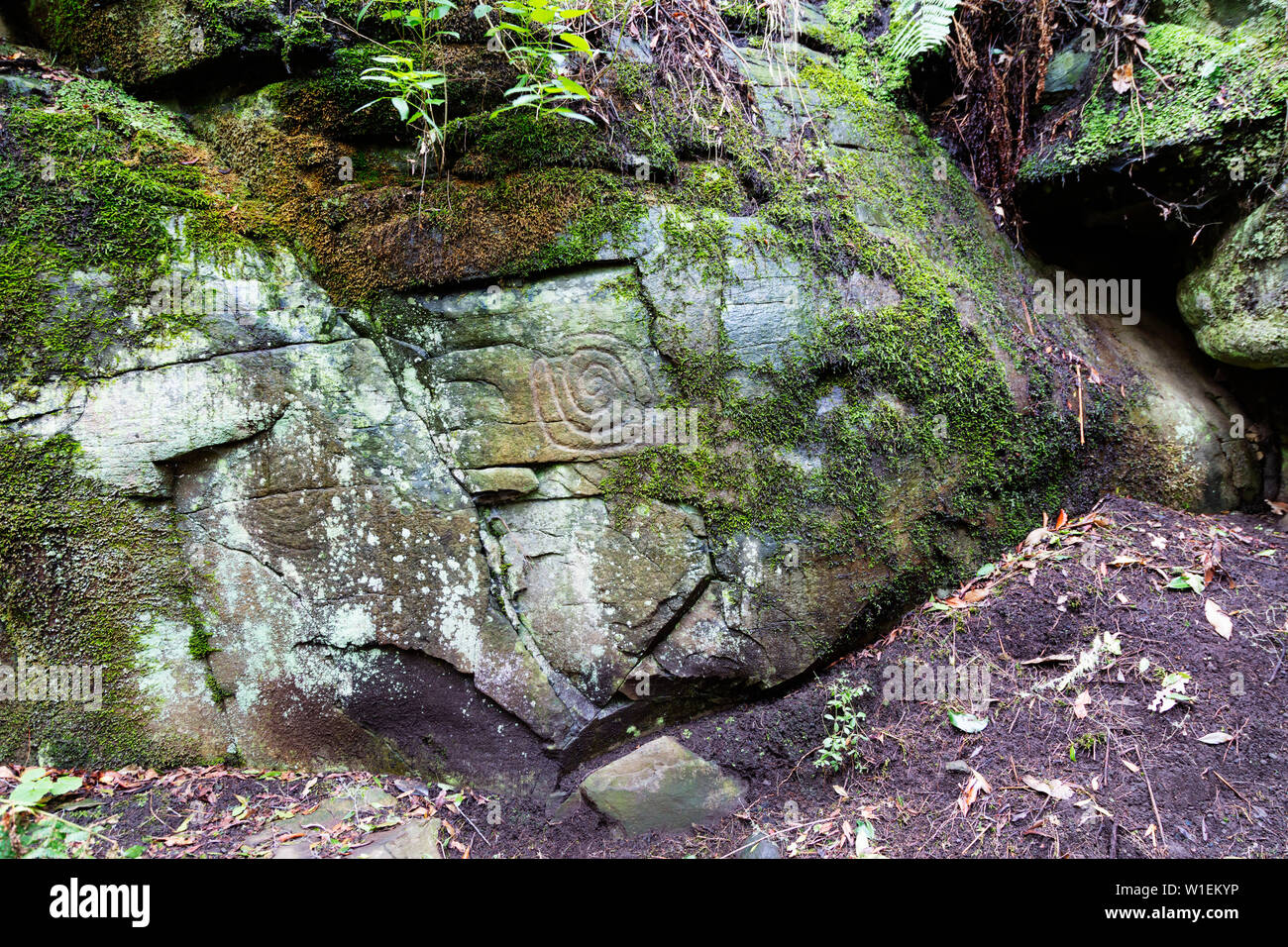 La Zarza Petroglyphen, UNESCO Biosphäre Website, La Palma, Kanarische Inseln, Spanien, Atlantik, Europa Stockfoto