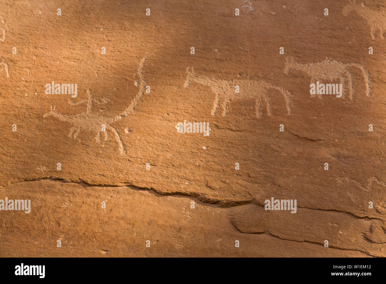 Sand Island Petroglyph Panels, in der Nähe von Bluff, Utah, Vereinigte Staaten von Amerika, Nordamerika Stockfoto