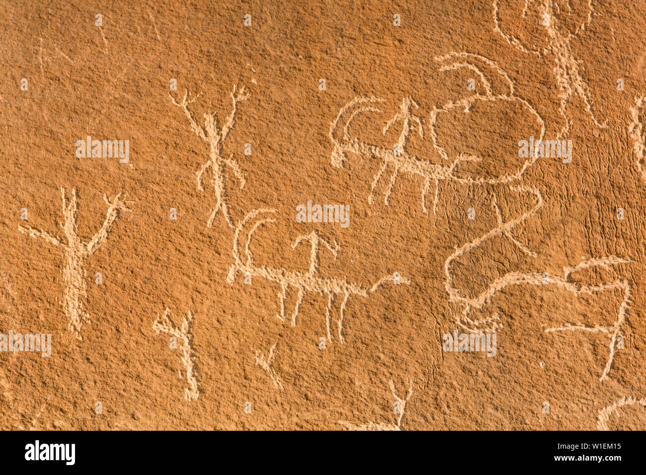 Sand Island Petroglyph Panels, in der Nähe von Bluff, Utah, Vereinigte Staaten von Amerika, Nordamerika Stockfoto