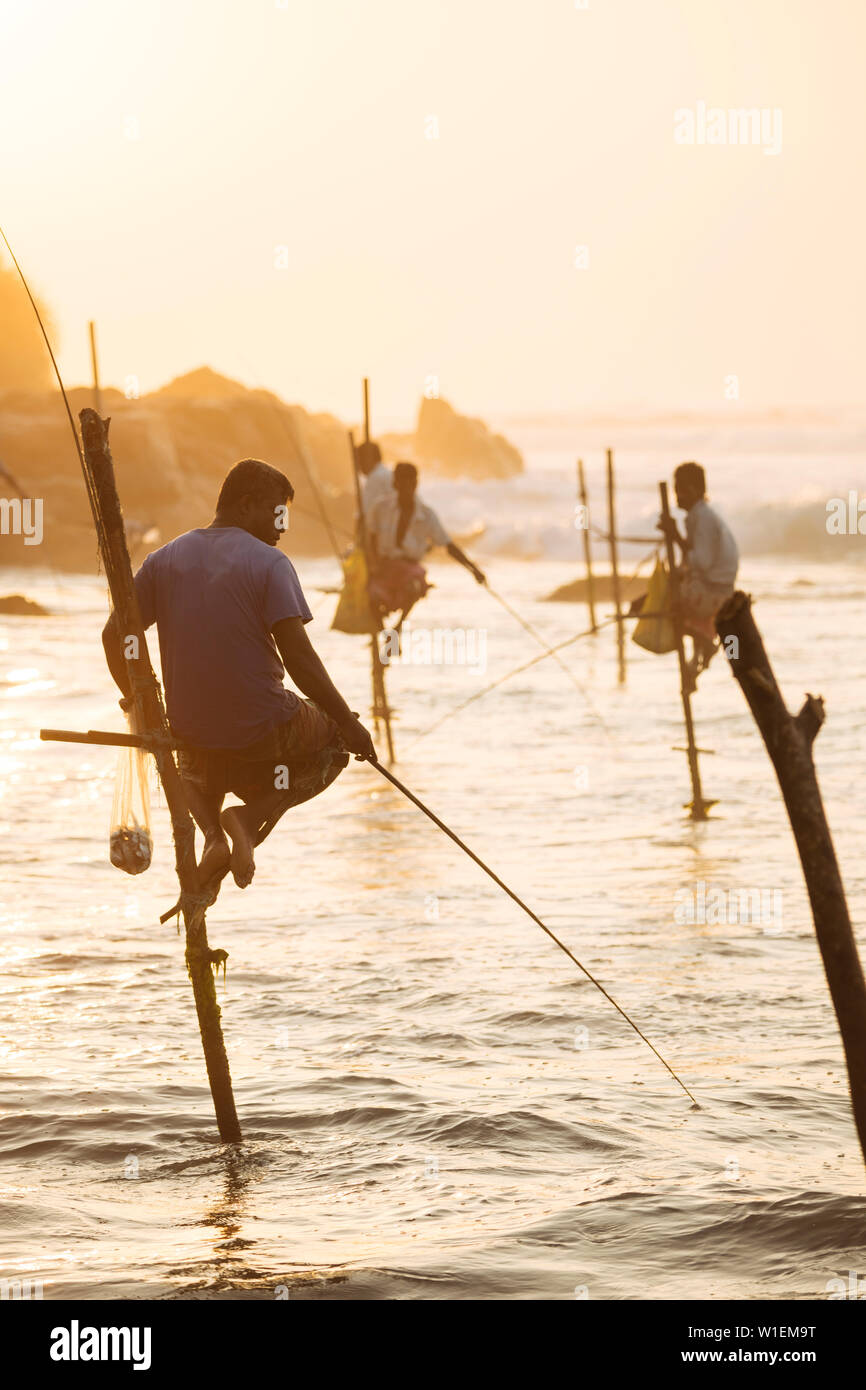 Stelze Fischer in der Morgendämmerung, Weligama, South Coast, Sri Lanka, Asien Stockfoto