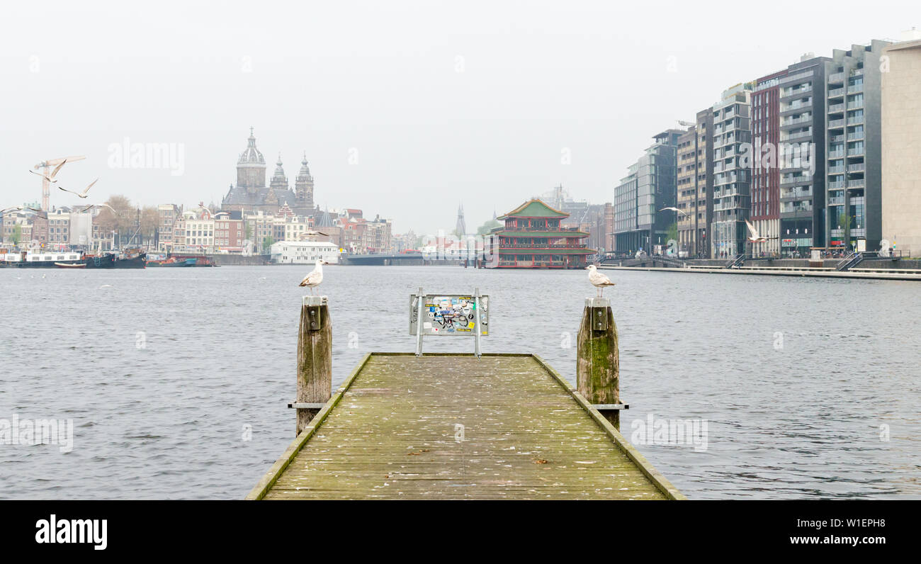 Amsterdam, Niederlande - Mai 2019. Zwei Möwen auf Holzpfähle sitzen und einander an. Stockfoto