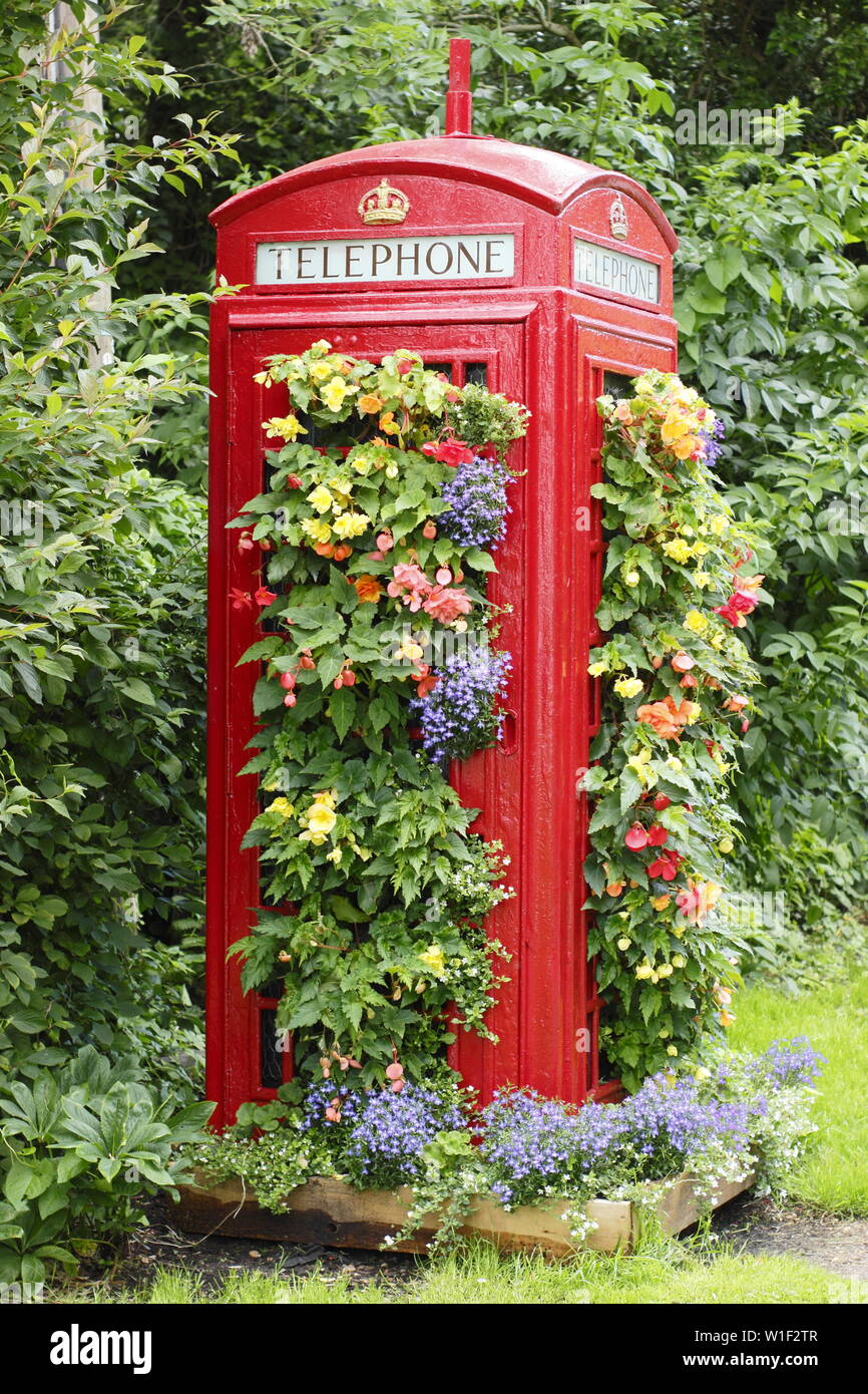 Blumentopf für Telefonhörer. Eine nicht mehr existierende Telefonbox am Straßenrand, die in einen vertikalen Garten verwandelt wurde, der in einem englischen Dorf mit Begonien und Logelien bepflanzt ist. VEREINIGTES KÖNIGREICH Stockfoto