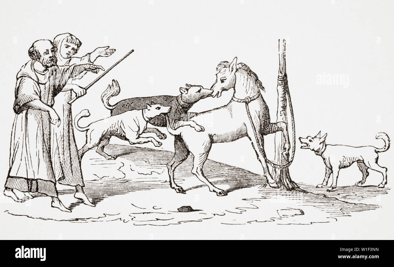 Zwischen Pferde und Hunde kämpfen. 19. jahrhundert Reproduktion von einem Manuskript aus dem 13. Jahrhundert. Stockfoto