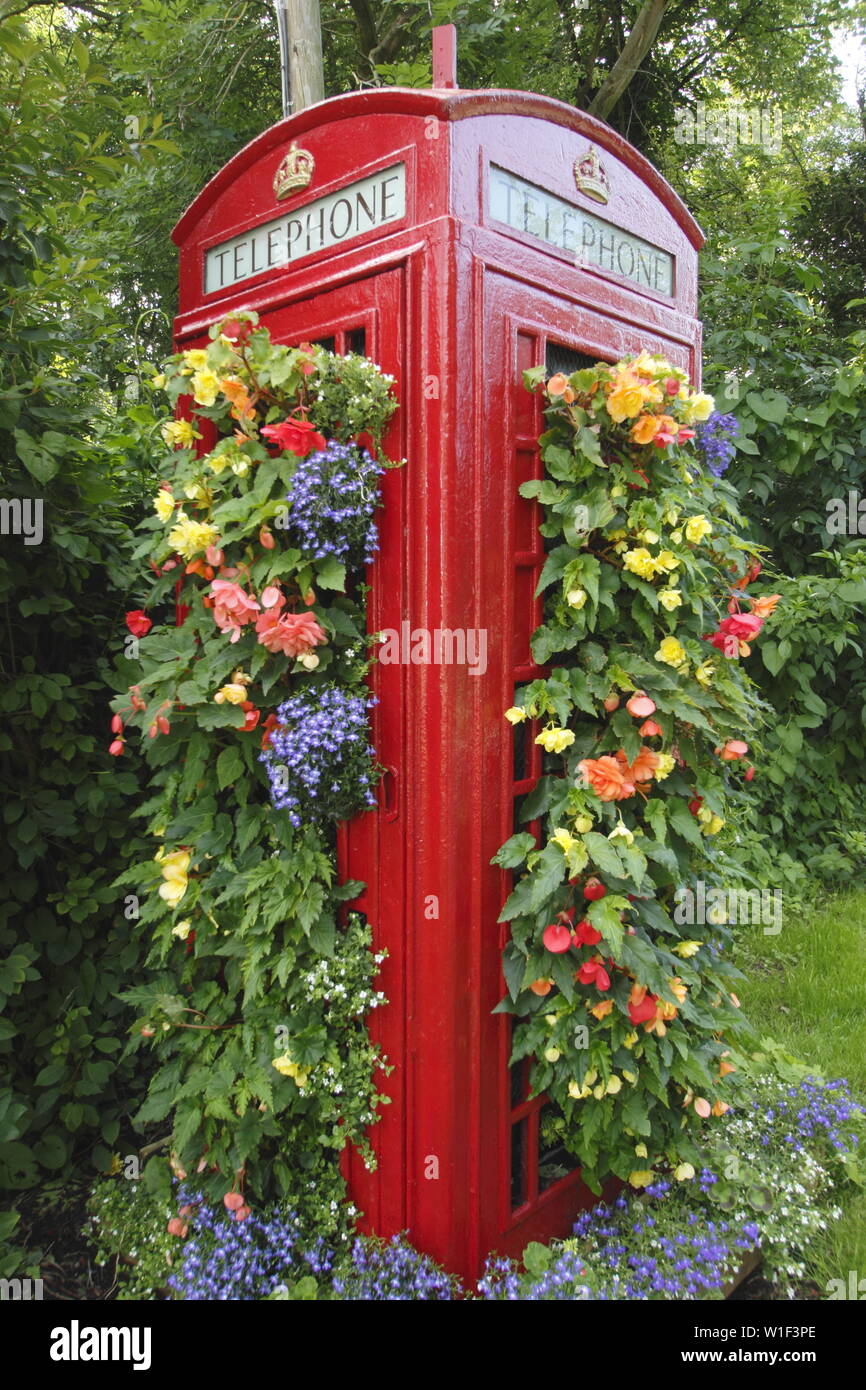 Blumentopf für Telefonhörer. Eine nicht mehr existierende Telefonbox am Straßenrand, die in einen vertikalen Garten verwandelt wurde, der in einem englischen Dorf mit Begonien und Logelien bepflanzt ist. VEREINIGTES KÖNIGREICH Stockfoto