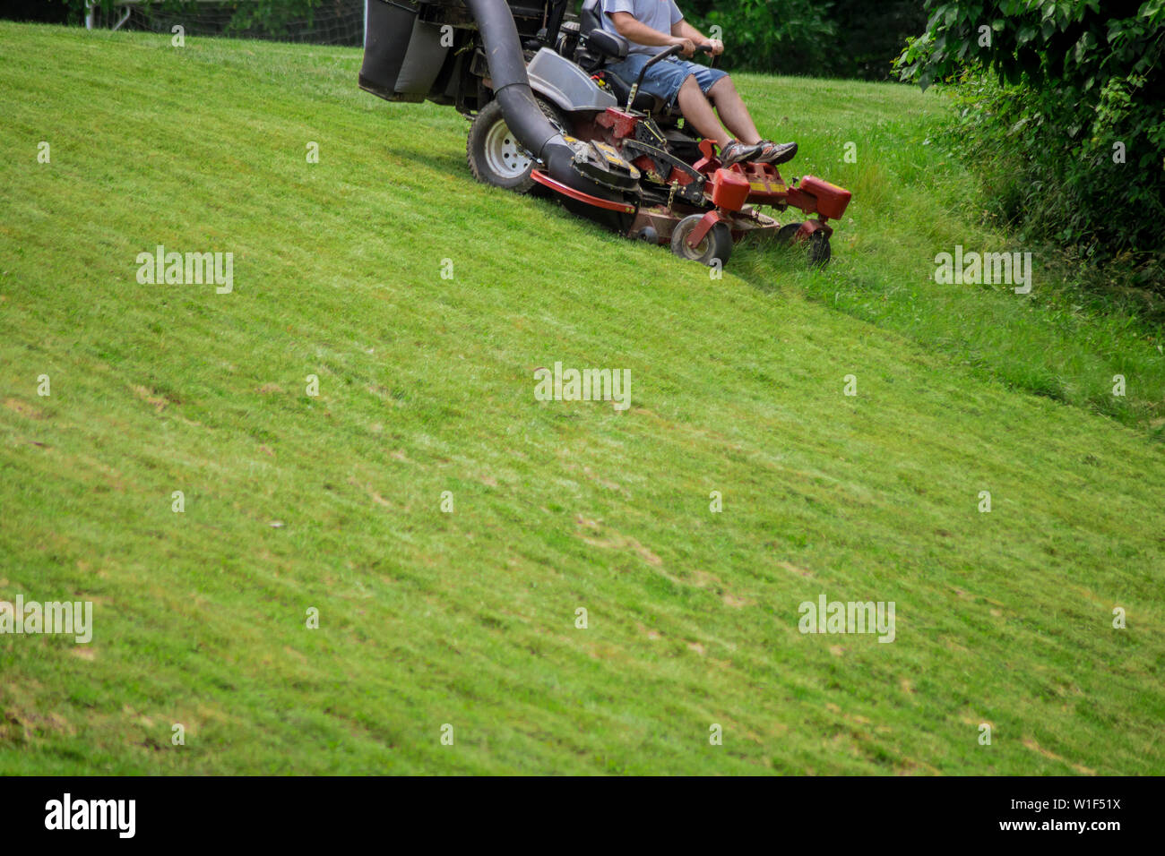 Saison Sommer sonnigen Tag Rasenmähen im Garten der Rasen mähen Stockfoto
