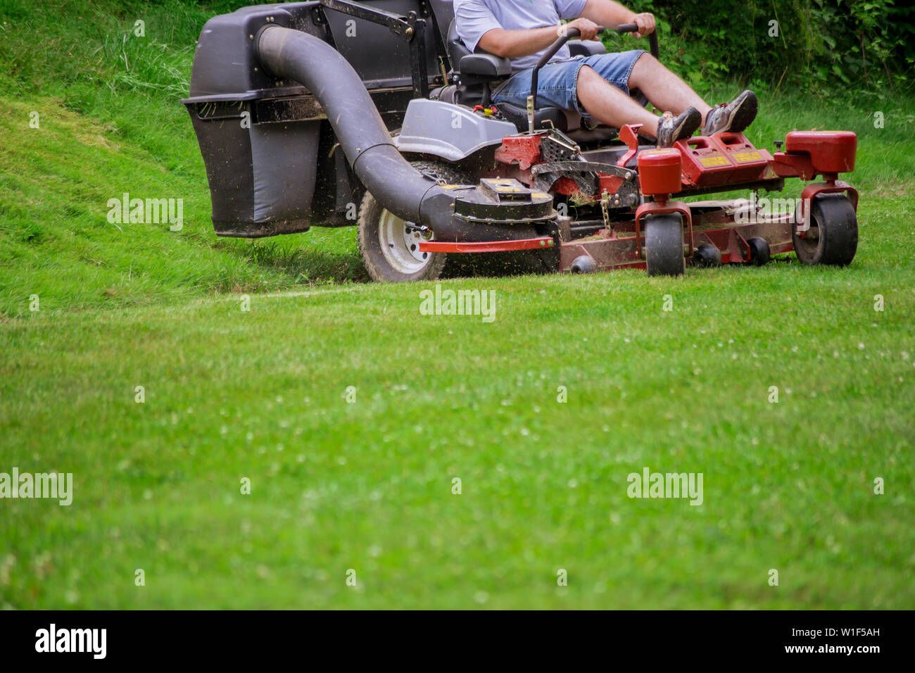Gärtner mähen den Rasen Rasenmäher Schneiden von Gras mit Gartengeräte Stockfoto
