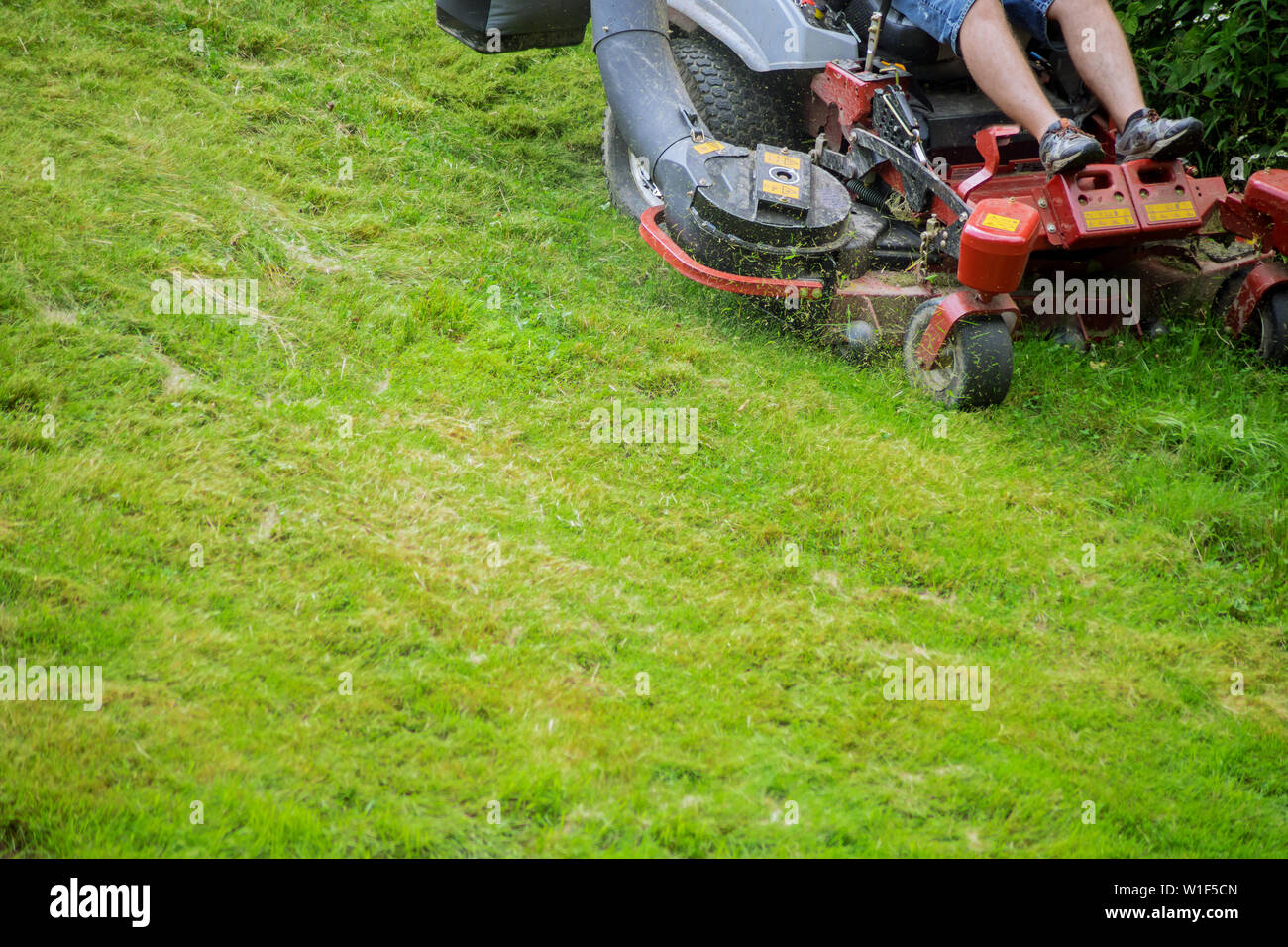 Prozess der Rasen mähen den Rasen Schneiden von Gras mit Gartenarbeit Stockfoto