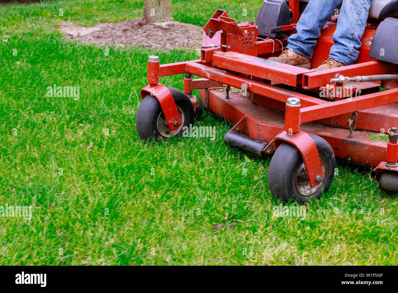 Rasenmäher schneiden grünen Gras im Hinterhof mann Rasenmäher Traktor Stockfoto