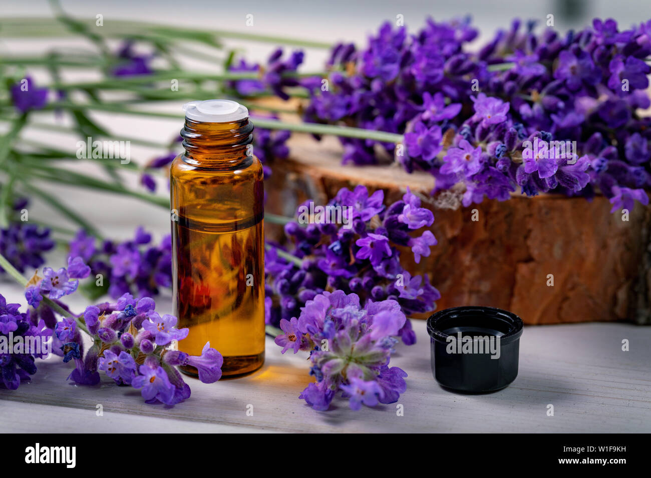 Lavendel ätherisches Öl Flasche mit frischen Blumen Stockfoto