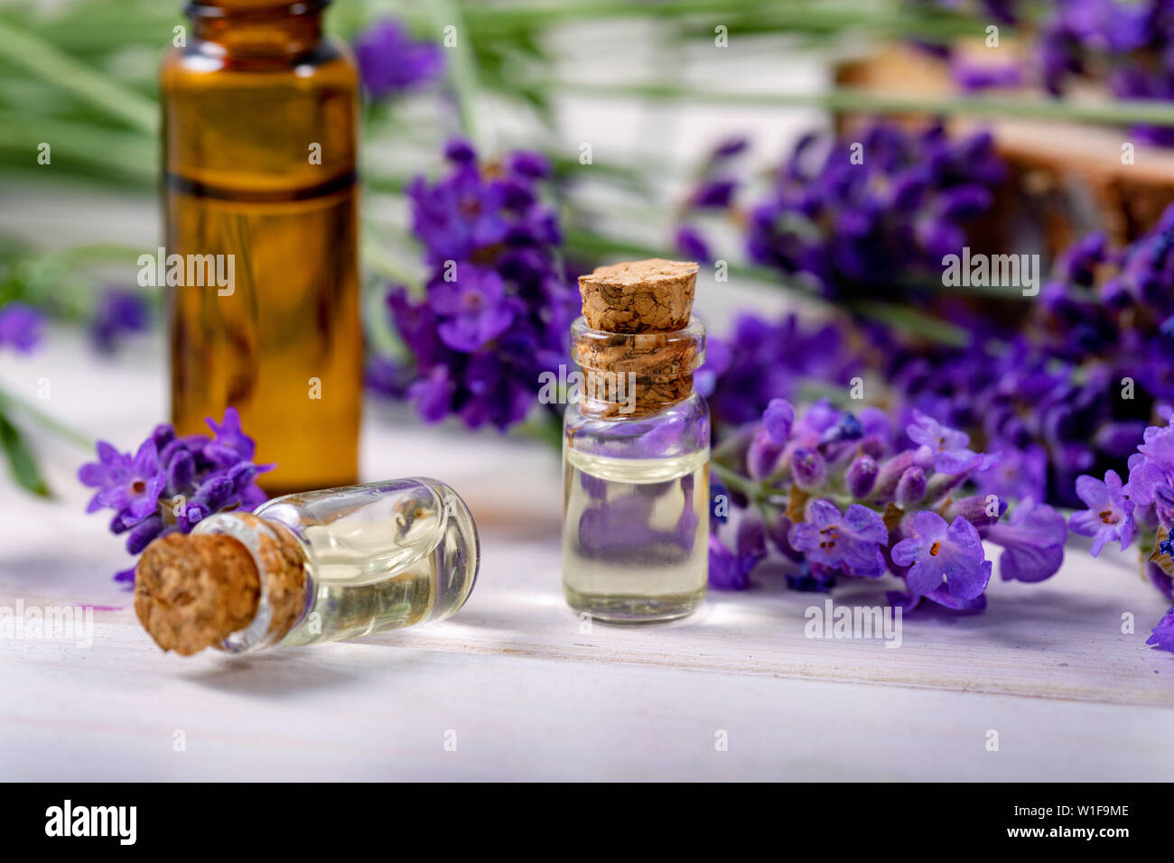 Lavendel ätherisches Öl Flaschen Beauty Care Behandlung Stockfoto