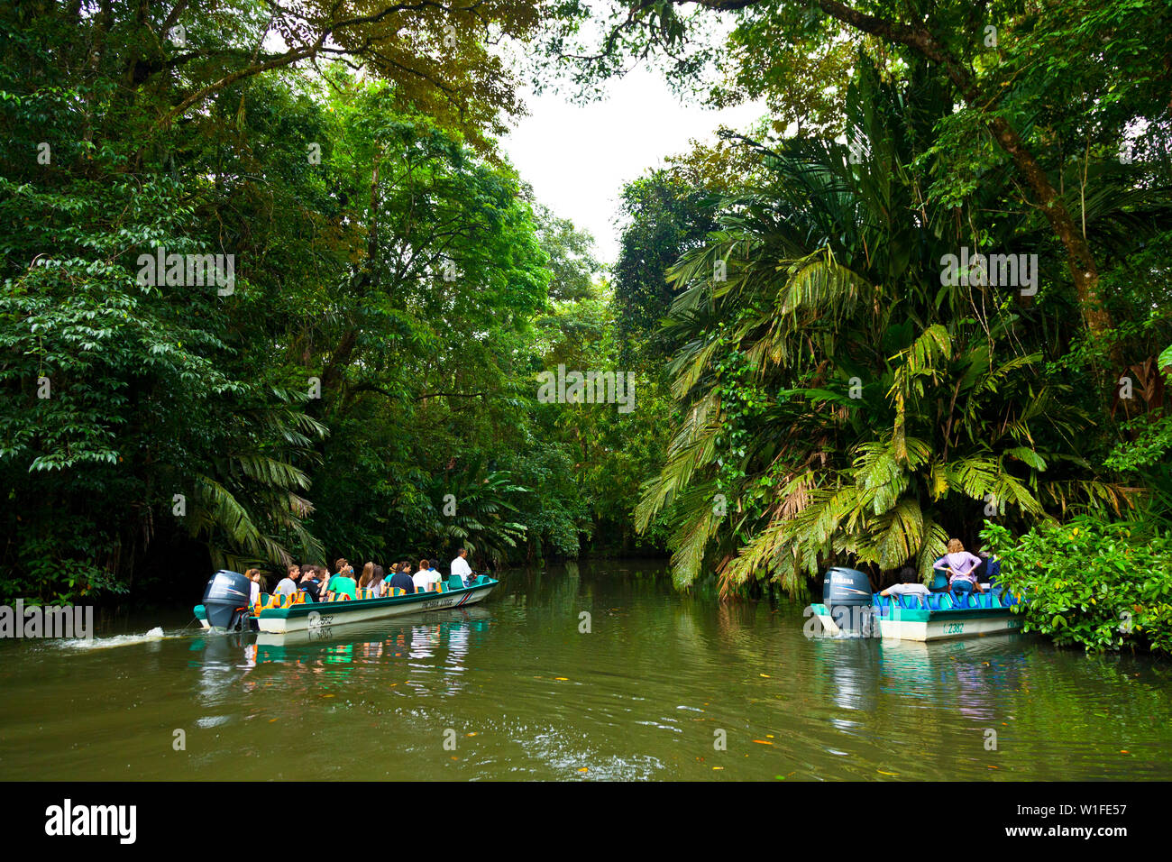 Fluss, Tortuguero Nationalpark Tortuguero, Costa Rica, Mittelamerika, Nordamerika Stockfoto