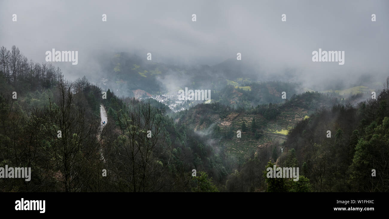 Baum Nebel Landschaft draußen Dawn Stockfoto