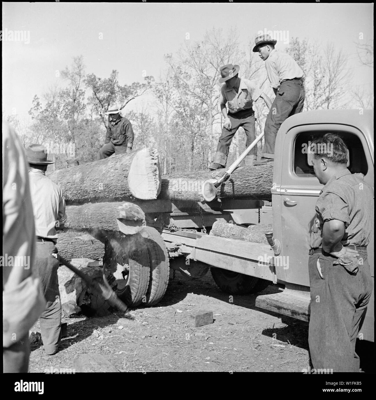 Jerome Relocation Center, Denson, Arkansas. Entladen von Schnittholz im Sägewerk. Protokolle sind Laubholz Eiche. . .; Umfang und Inhalt: Der vollständige Titel für dieses Foto liest: Jerome Relocation Center, Denson, Arkansas. Entladen von Schnittholz im Sägewerk. Protokolle sind Hartholz Eiche, Birke, Gummi, Zypressen und Pinien. Stockfoto