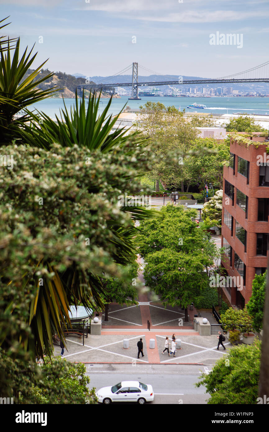 Blick auf die San Francisco Bay Bridge und die Greenwich Street von den Höhen der Greenwich Steps in San Francisco, Kalifornien, USA Stockfoto