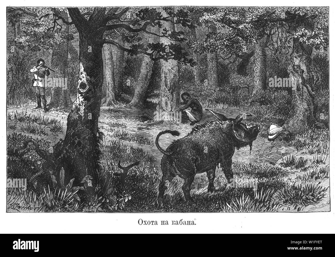 Afrikanische Arten der Jagd auf das Wildschwein Abbildung aus dem Buch von Henry Morton Stanley, wie ich Livingstone fand. Russland, 1873 Stockfoto