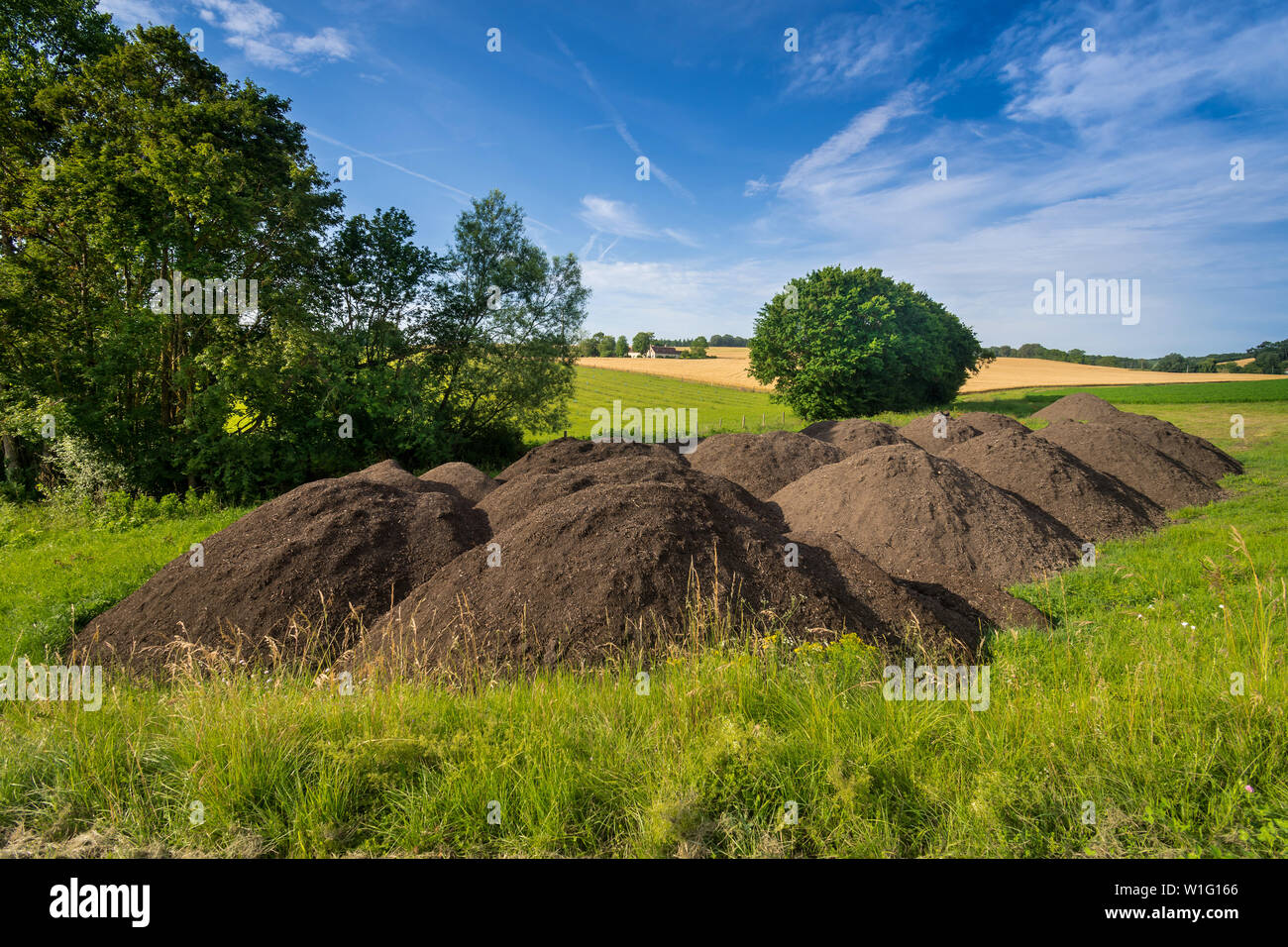 Stapel der Kompost für die Ausbringung auf landwirtschaftlichen Nutzflächen nach dem Sommer die Ernte - Frankreich. Stockfoto