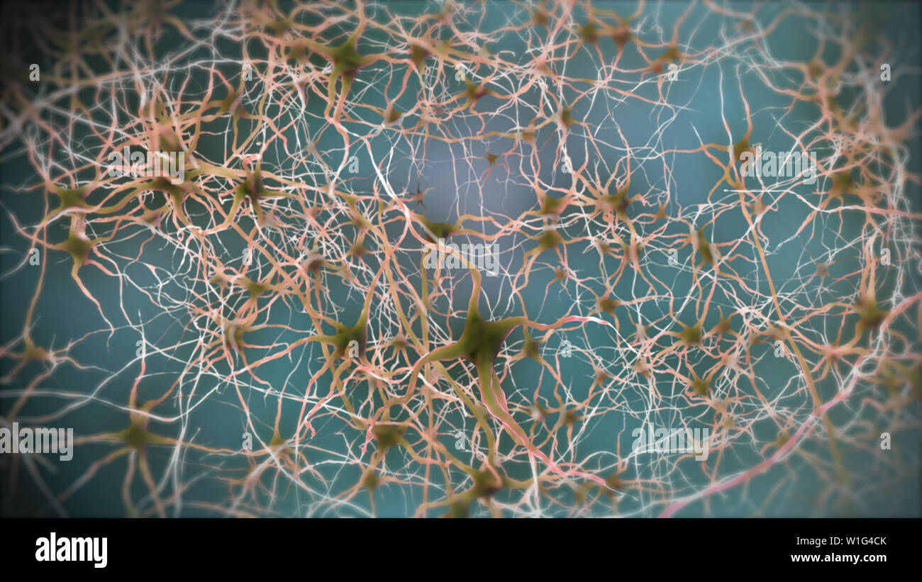 Neuronen Gehirnzellen Nerven Stockfoto
