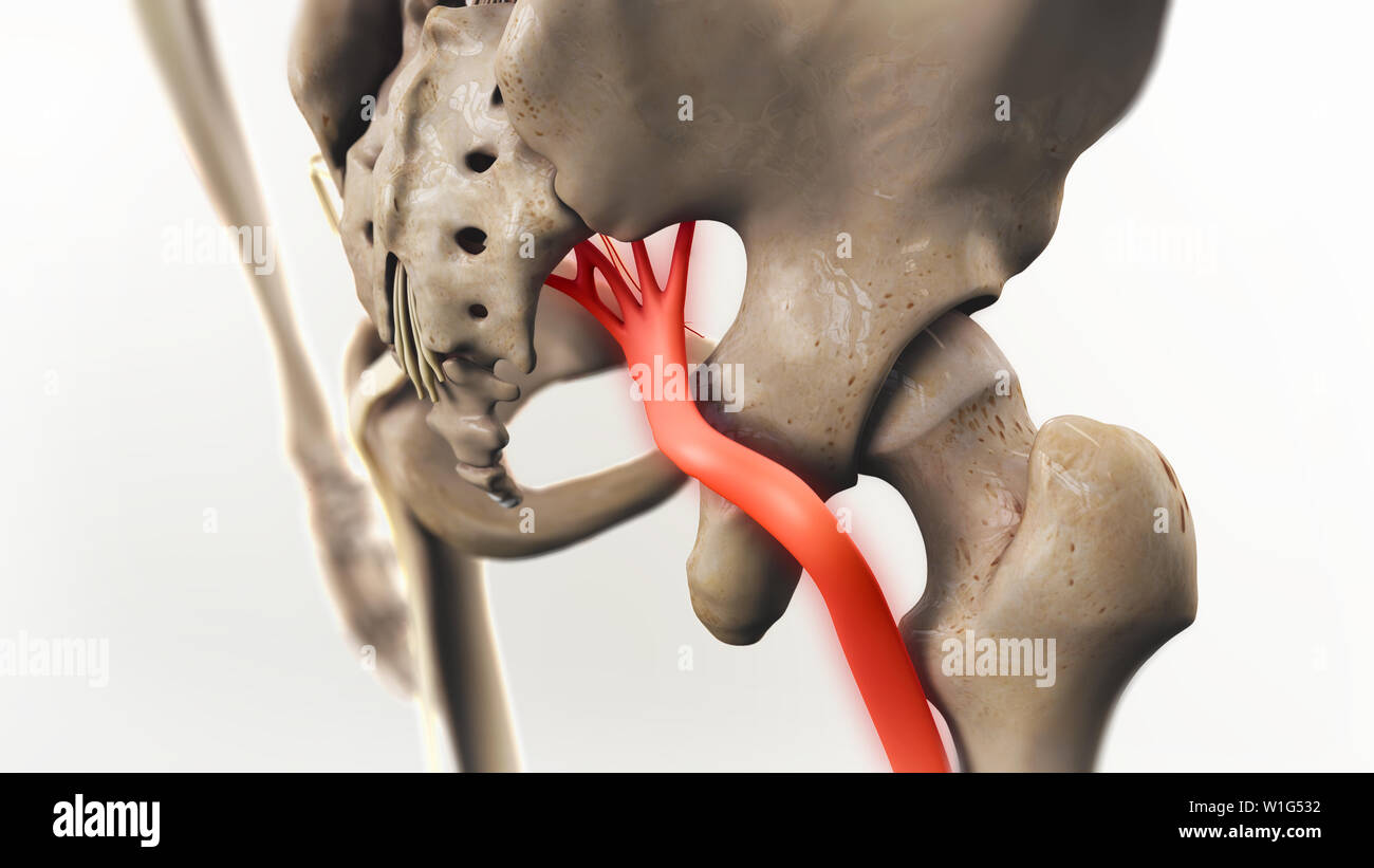 Ischiasnerv Schmerz 3D-Darstellung Stockfoto