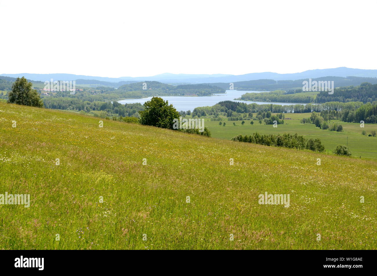 Lipno Stausee bei Horni Plana in Südböhmen Stockfoto