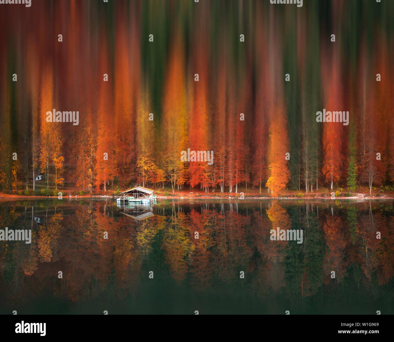 Bunte Herbst Wald mit Motion Blur künstlerischen Effekt, im Wasser, in den Alpsee wider, in der Nähe der Stadt Füssen, Deutschland. Stockfoto