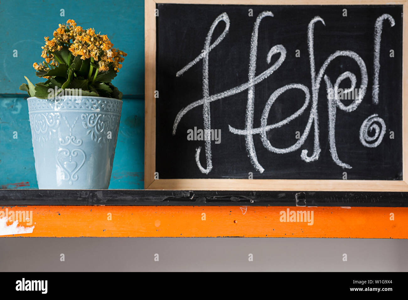 Kreative Bild von gelben Blumen im Topf mit blauen Hintergrund Mit bebilderter Beratung zur Pflege der Pflanzen mit Kreide auf einer Tafel. Stockfoto