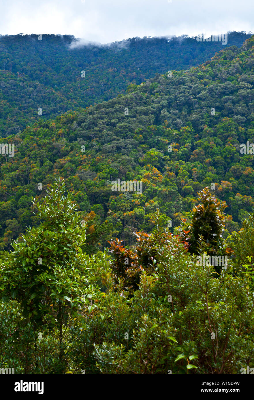 San gerardo de dota village Fotos und Bildmaterial in hoher Auflösung Alamy