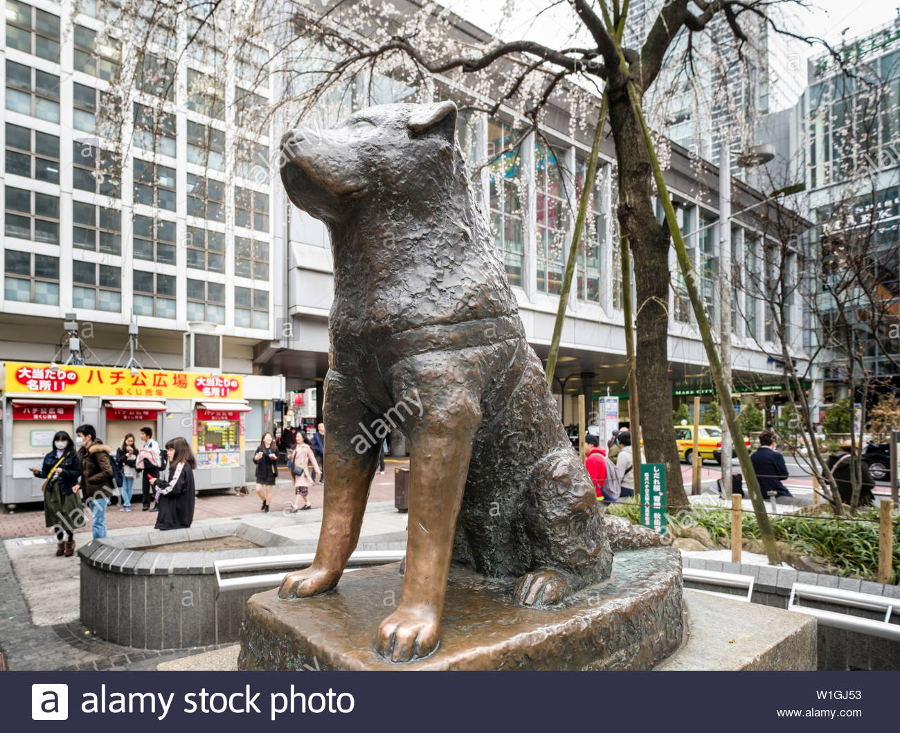 Shibuya Hachiko Dog Tokyo Stockfotos und bilder Kaufen Alamy