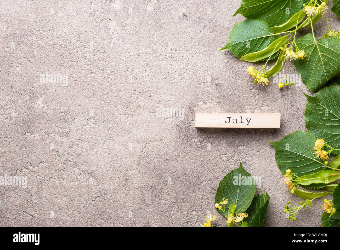 Blumen und Blätter von Linde Stockfoto