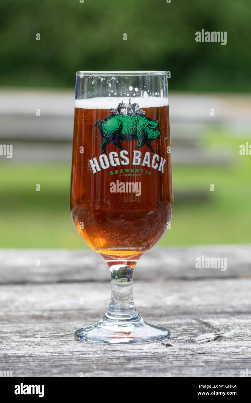 Glas Schweine zurück Bier von einer kleinen Brauerei in Tongham, Surrey, Großbritannien gefertigt Stockfoto